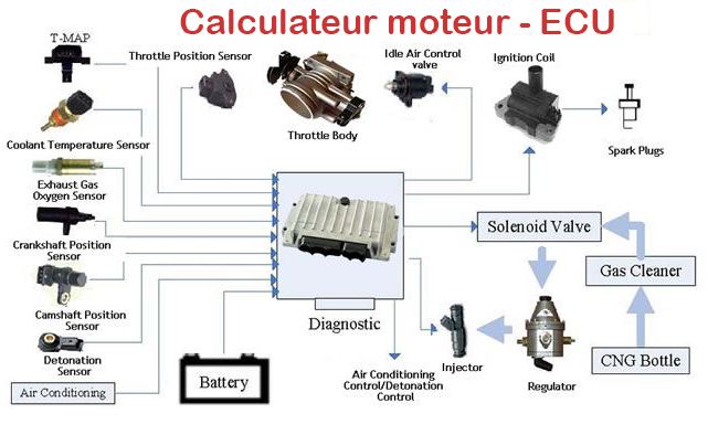 ECU voiture capteurs et commandes