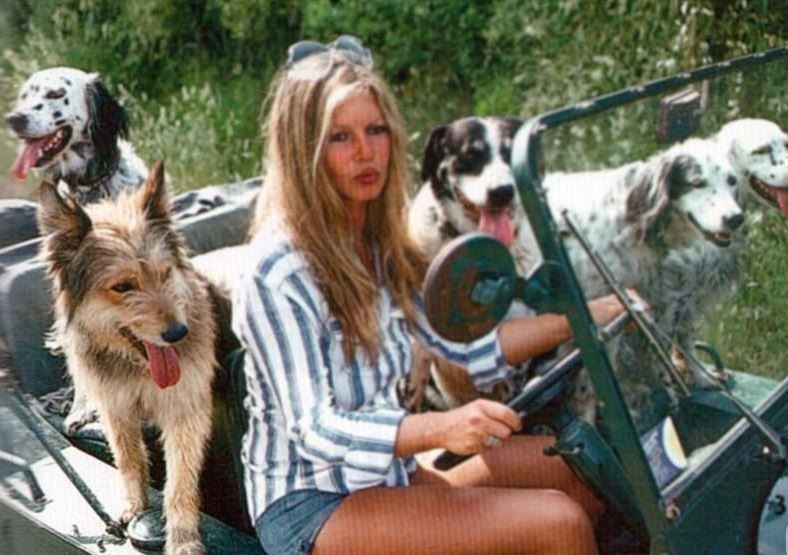 Brigitte Bardot et ses chiens en mini moke