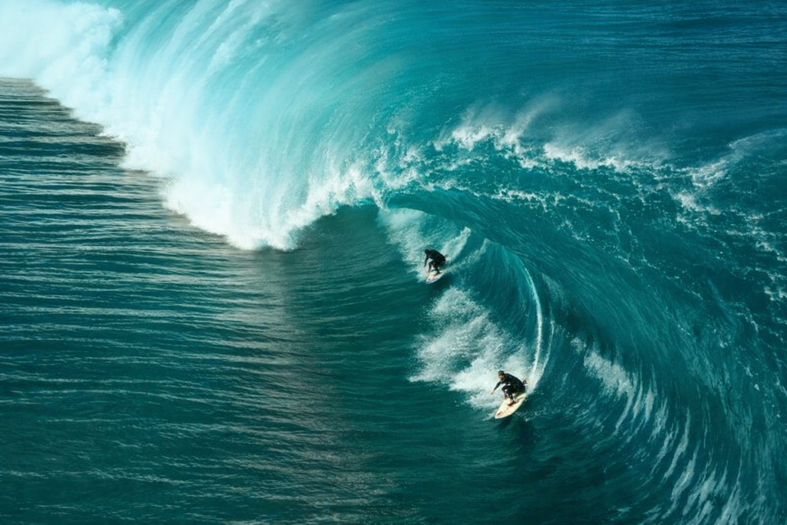 Voitures de Point Break, la Californie libre et sauvage des années 90