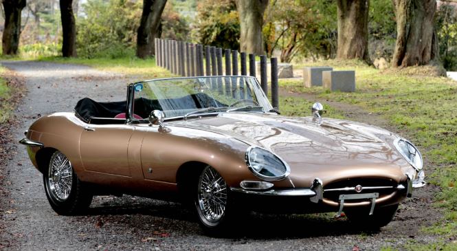 Jaguar Type E roadster cabriolet beige stationnée sur une allée arborée