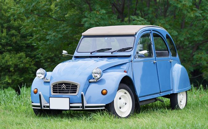 Citroën 2CV bleue stationnée sur l’herbe dans un cadre naturel