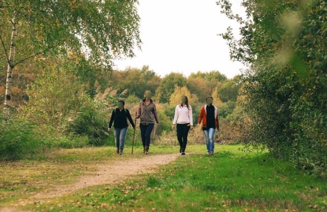Groupe de personnes marchant tranquillement sur un chemin en pleine nature, entourées d’arbres et de verdure