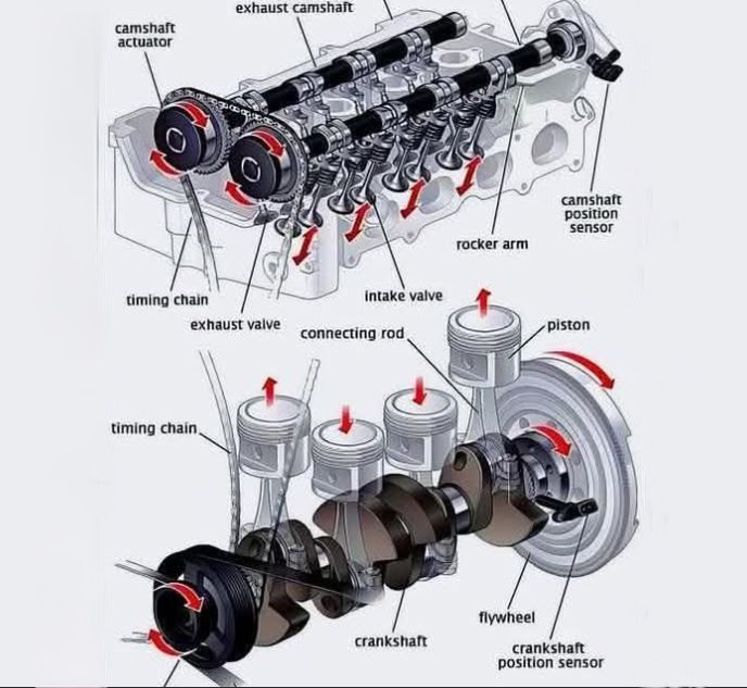 Schéma du principe de la distribution moteur sur un quatre cylindres, vilebrequin et arbres à cames