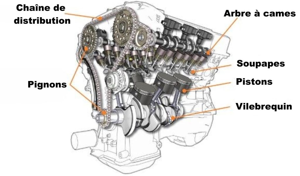 schéma d’un moteur montrant la chaîne de distribution synchronisant vilebrequin, arbre à cames, pistons et soupapes