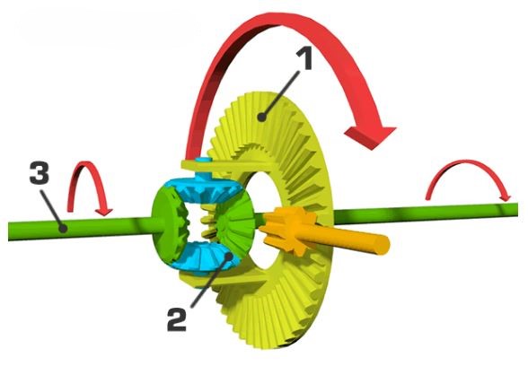 différentiel automobile en coupe avec couronne, satellites et arbres de roues