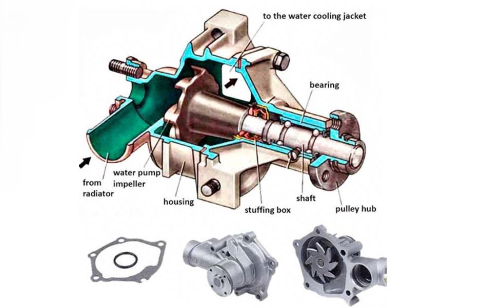 schéma d’une pompe à eau automobile faisant circuler le liquide de refroidissement