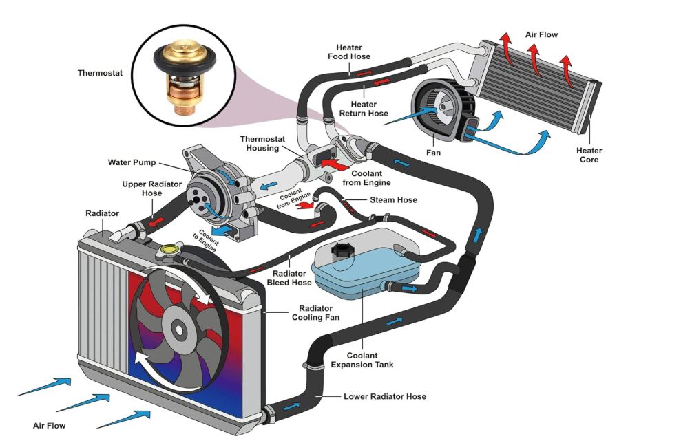 schéma du thermostat dans le circuit de refroidissement moteur entre pompe à eau et radiateur