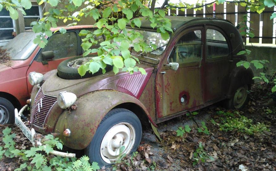 Citroën 2CV Sahara 1961 abandonnée sous la végétation lors d’une sortie de grange