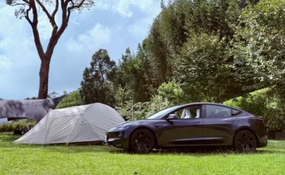 voiture électrique dans environnement naturel écologie automobile impact réel