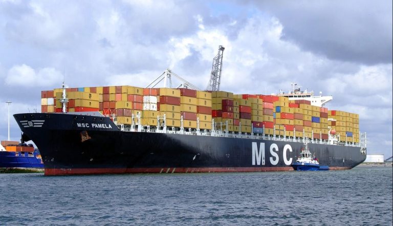 Porte-conteneurs transportant des marchandises illustrant le commerce mondial