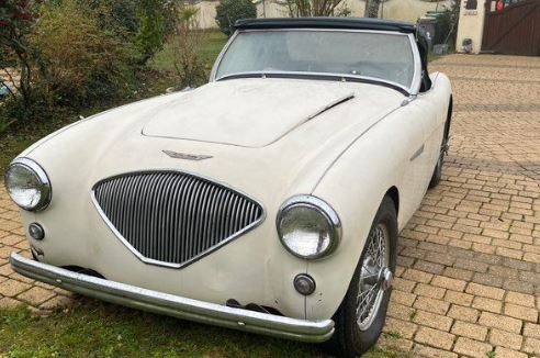Austin Healey BN1 100/4 1954 cabriolet blanc ancien trouvé en sortie de grange