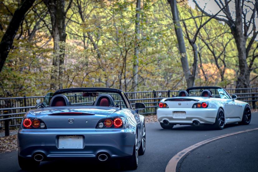 Deux Honda S2000 décapotées vues de l’arrière sur une route bordée d’arbres.