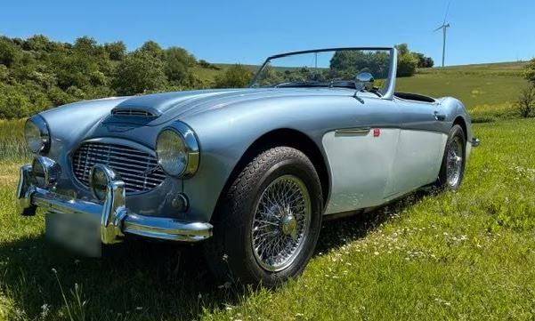 Austin Healey 100/6 BN6 de 1959 cabriolet gris dans l’herbe