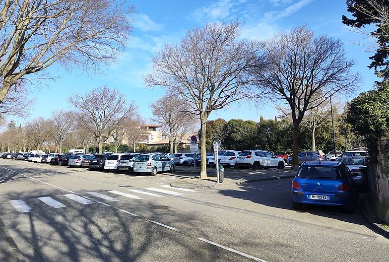 Parking de surface en centre-ville avec de nombreuses voitures stationnées le long d'une avenue arborée.