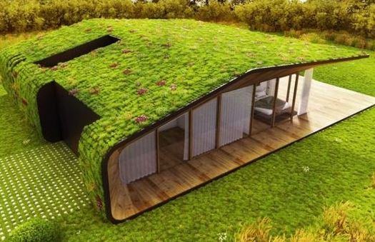 Maison végétalisée conçue pour rester fraîche naturellement et limiter le recours à la climatisation.