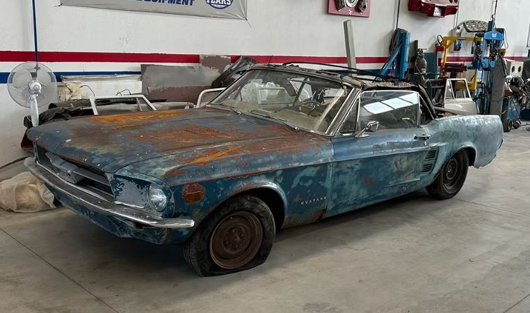 Ford Mustang cabriolet 1967 retrouvée à restaurer lors d’une sortie de grange