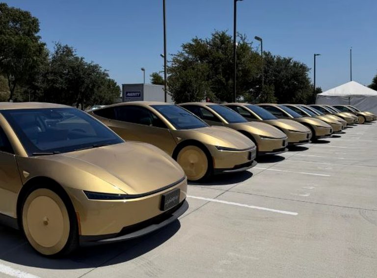 Flotte de Tesla Cybercab alignés illustrant leur possible exploitation comme investissement