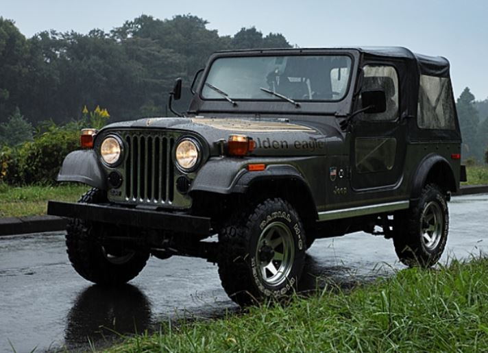 Jeep Wrangler semblable à la première voiture de Sharon Stone
